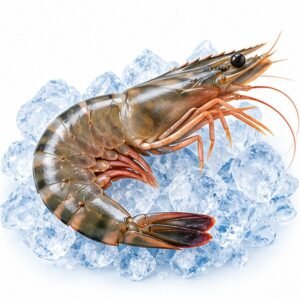ZEIDAN professional food-service product